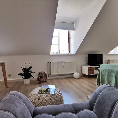 Fynbos Apartments In Der Altstadt, Frauenkirche, Historisch, Parkplatz Meißen Buitenkant foto