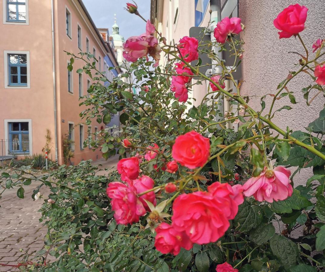Fynbos Apartments In Der Altstadt, Frauenkirche, Historisch, Parkplatz Meißen Buitenkant foto