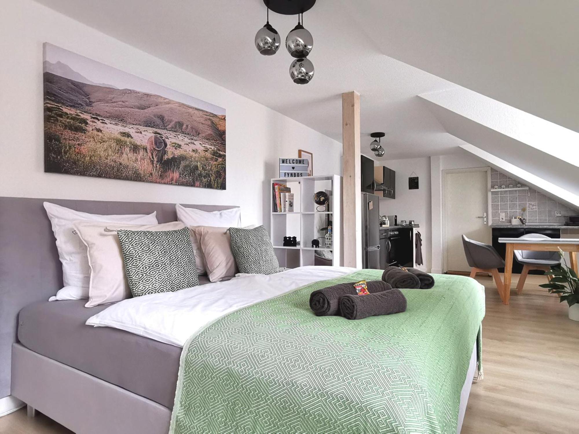 Fynbos Apartments In Der Altstadt, Frauenkirche, Historisch, Parkplatz Meißen Kamer foto
